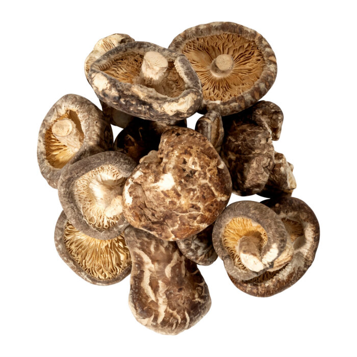 Shiitake Mushroom Caps – Agro Pastoral Products.,Ltd