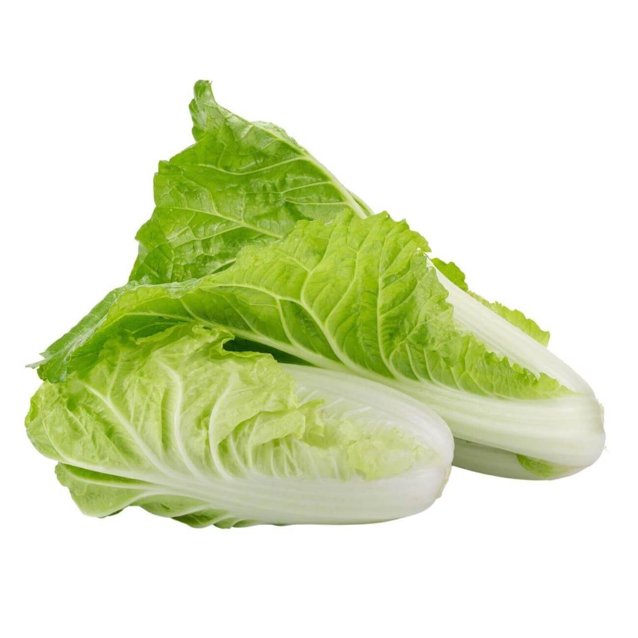 TAIWAN BOK CHOY (PREORDER) – Agro Pastoral Products.,Ltd